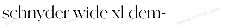 schnyder wide xl dem字体转换